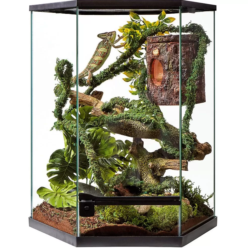 Chameleon<Thrive Tropical Reptile Vertical Hexagon Terrarium -20 Gallon