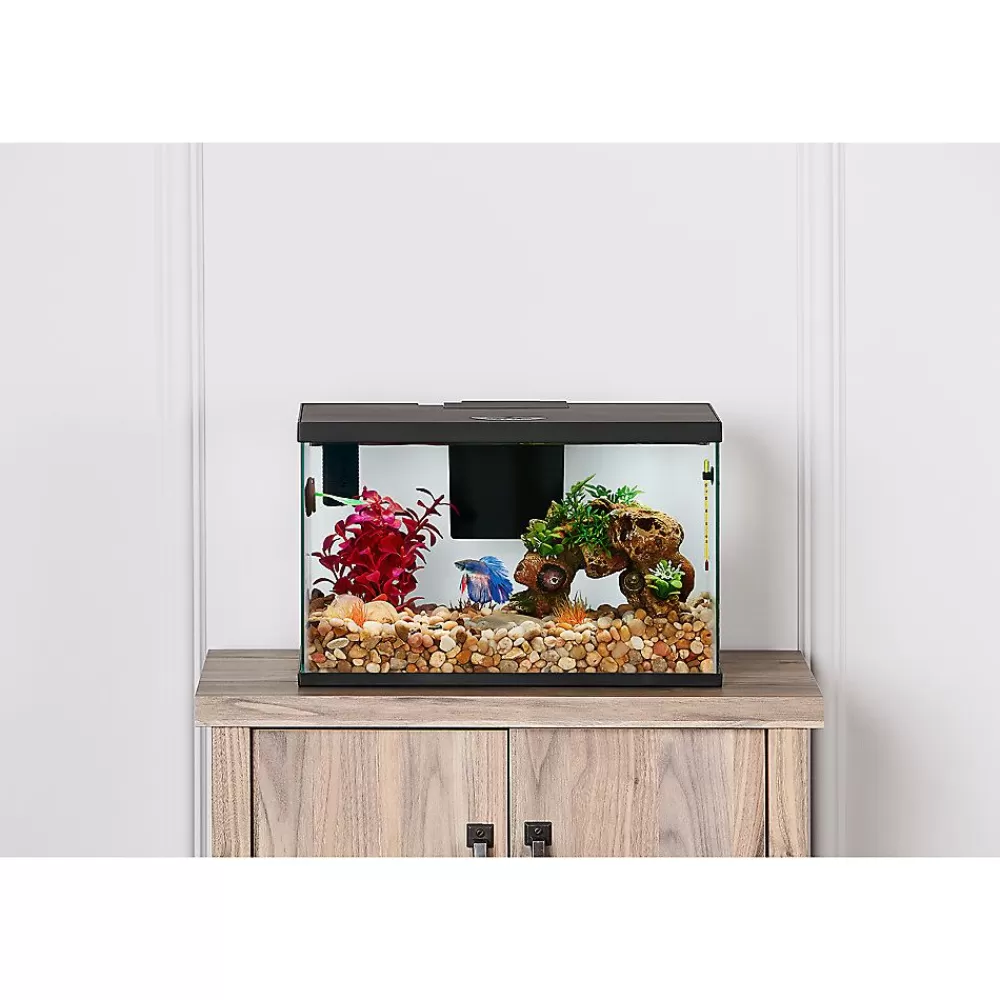 Tanks & Aquariums<Top Fin ® All-In-One Betta Aquarium Starter Kit - 3 Gallon