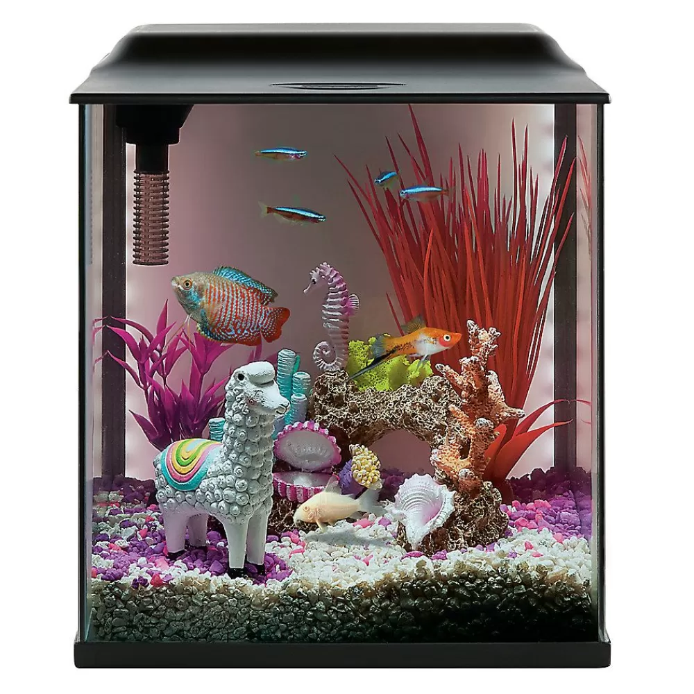 Tanks & Aquariums<Top Fin ® Backlight Aquarium