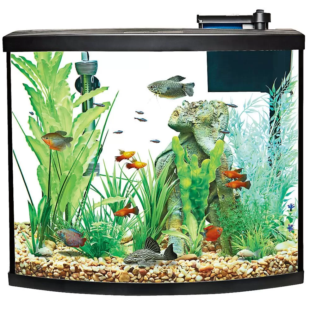 Tanks & Aquariums<Top Fin ® Bow Front Aquarium Starter Kit -36 Gallon