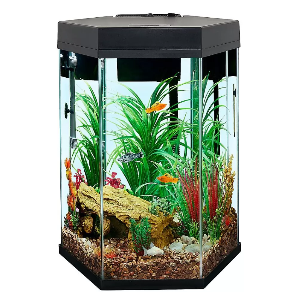 Tanks & Aquariums<Top Fin ® Captivate Starter Kit