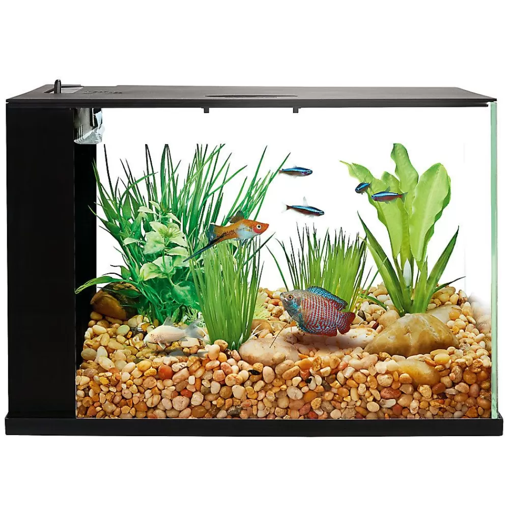 Tanks & Aquariums<Top Fin ® Easy Clean Aquarium - 3 Gallon