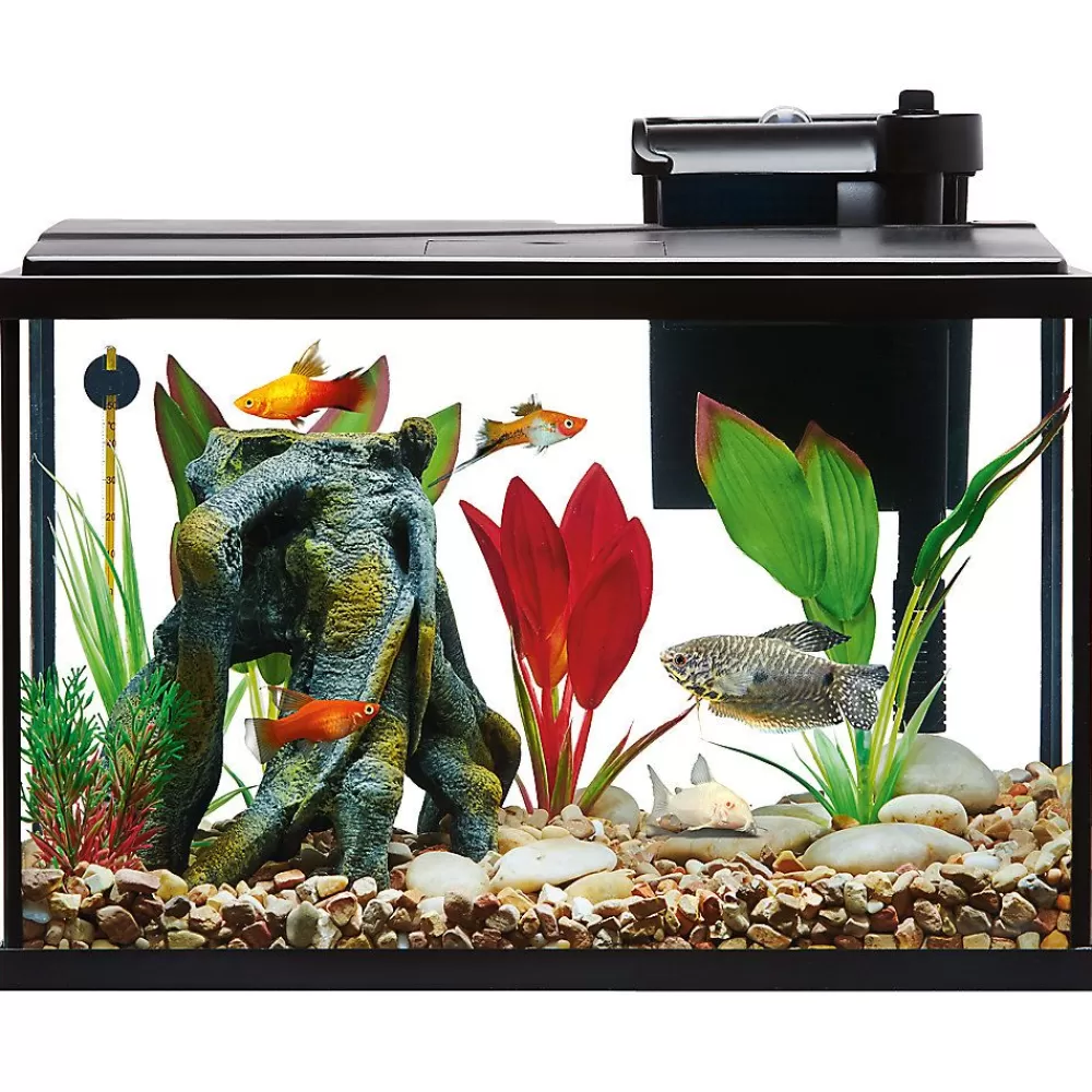 Tanks & Aquariums<Top Fin ® Essentials Aquarium Starter Kit