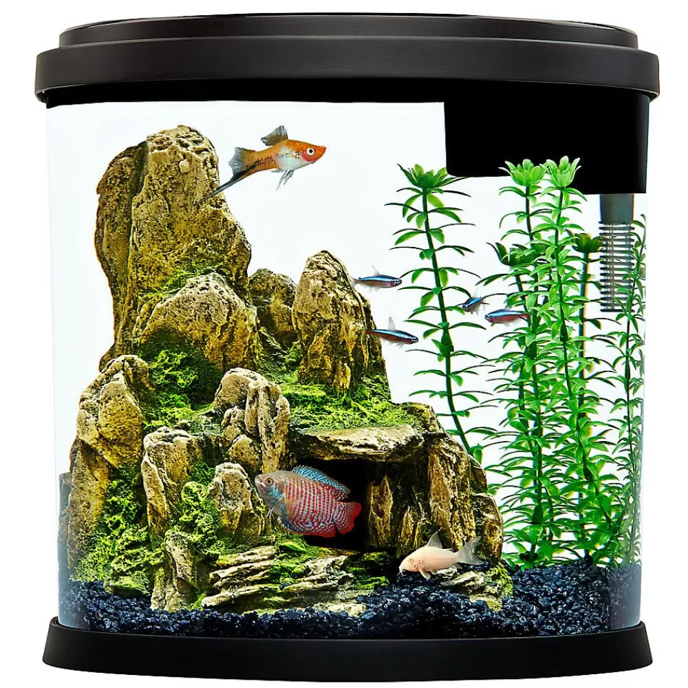 Marine & Freshwater<Top Fin ® Half Moon Aquarium - 3.5 Gallon