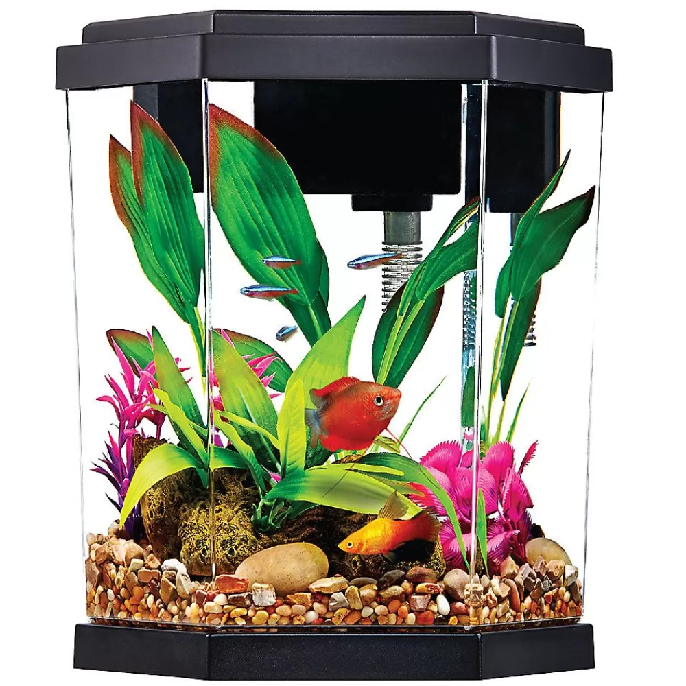 Tanks & Aquariums<Top Fin ® Hexagon Aquarium - 2 Gallon