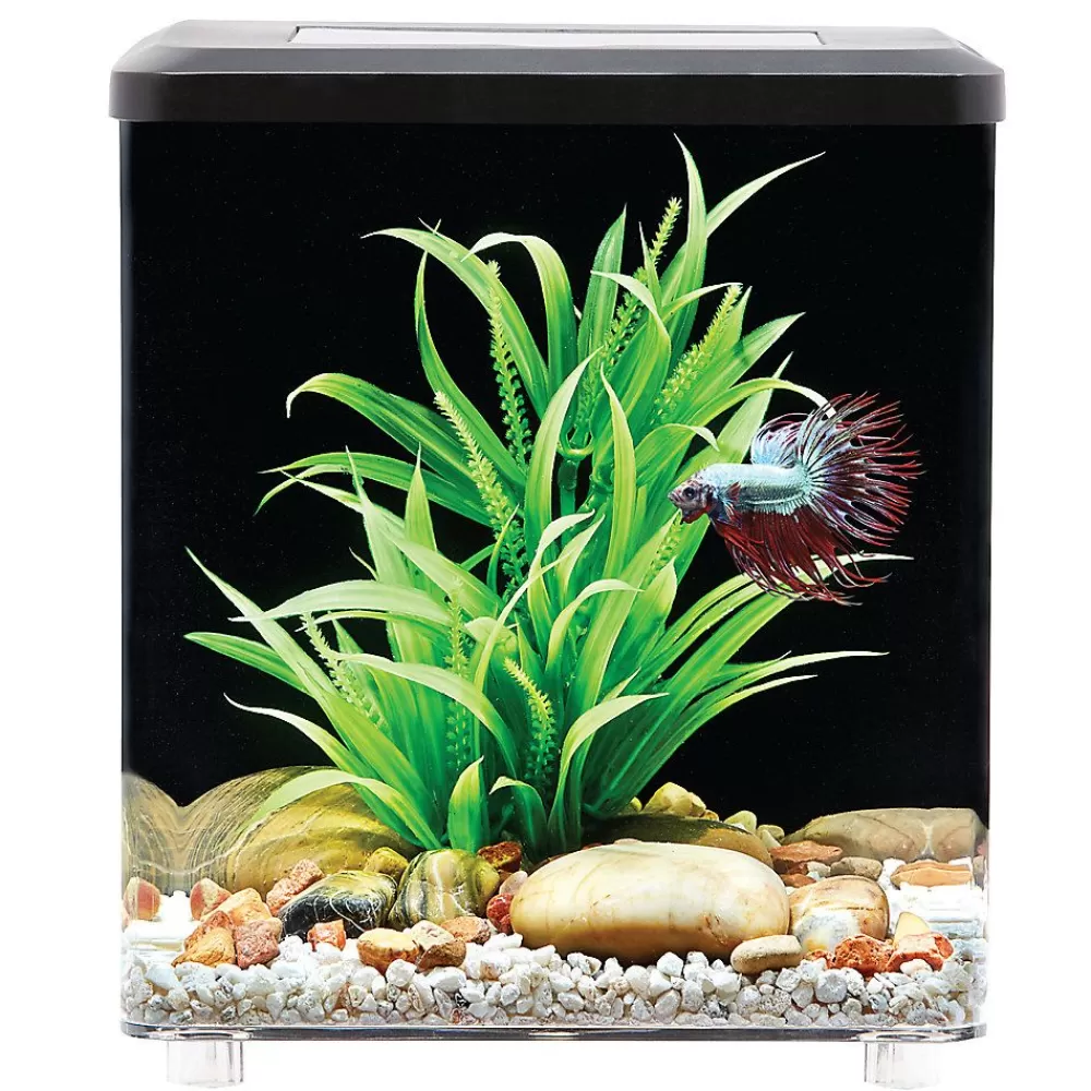 Tanks & Aquariums<Top Fin ® Modern Betta Aquarium - 2 Gallon