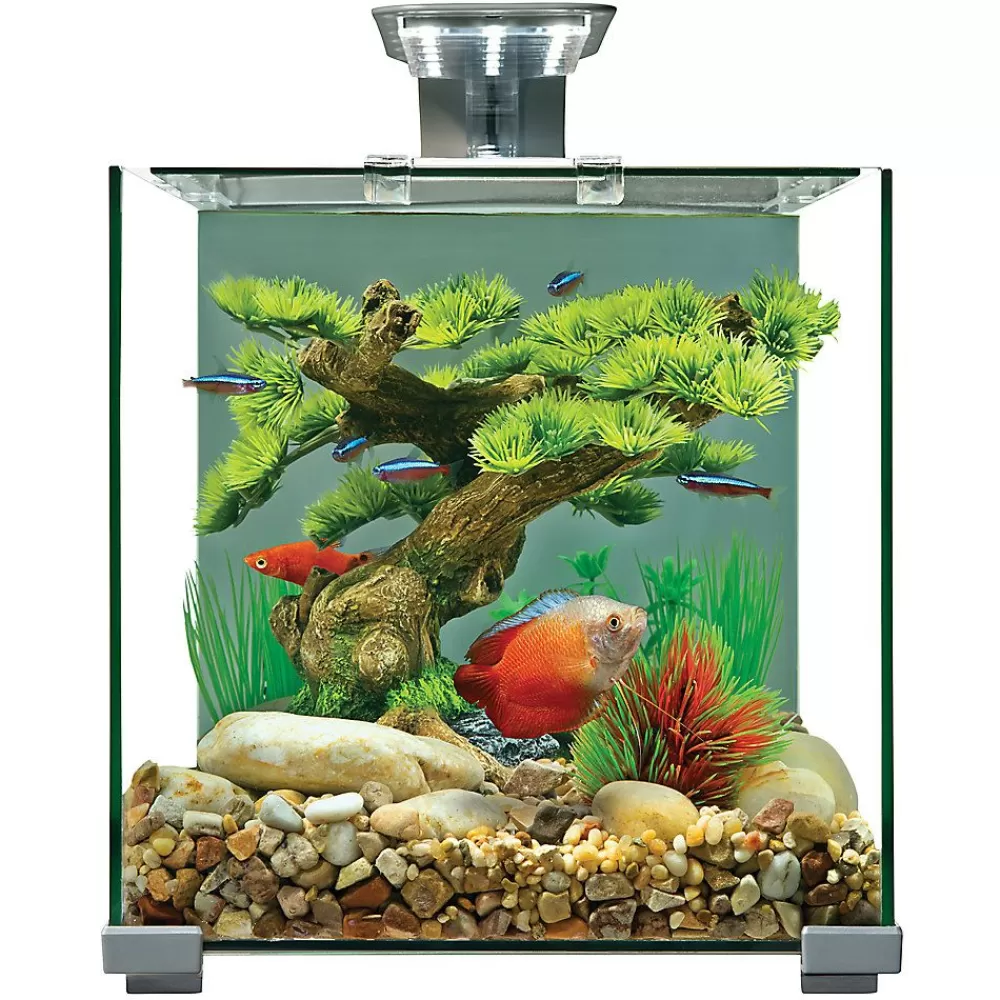Starter Kits<Top Fin ® Premium Glass Aquarium - 5 Gallon