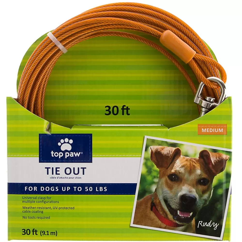 Collars, Harnesses & Leashes<Top Paw ® Dog Tie Out Orange
