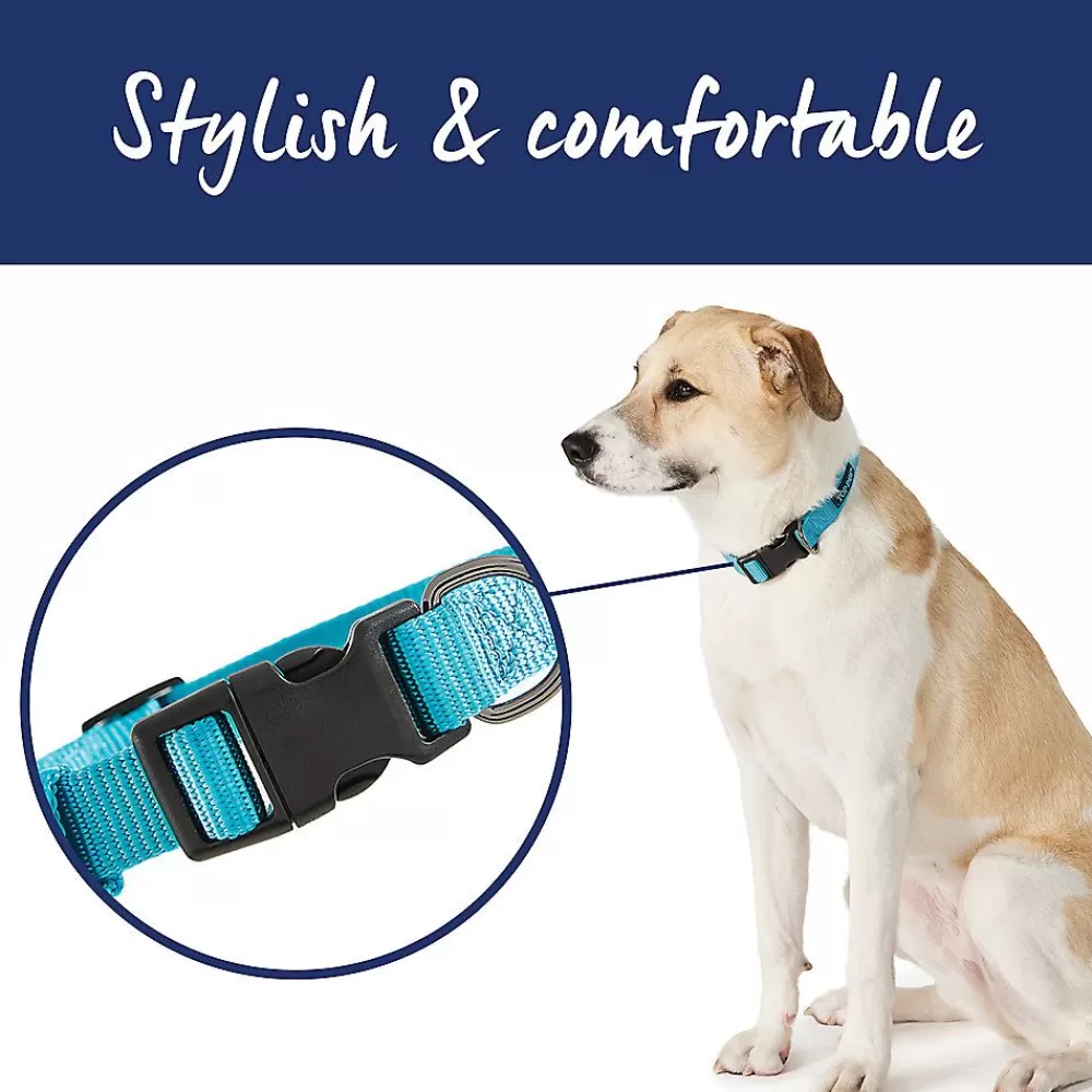 Collars, Harnesses & Leashes<Top Paw ® Gunmetal Nylon Dog Collar Aqua