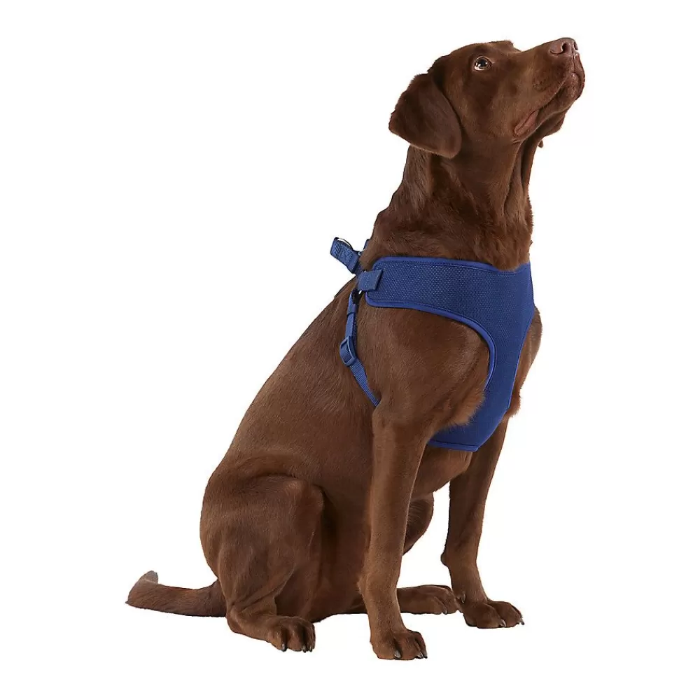 Collars, Harnesses & Leashes<Top Paw ® Mesh Comfort Dog Harness Navy