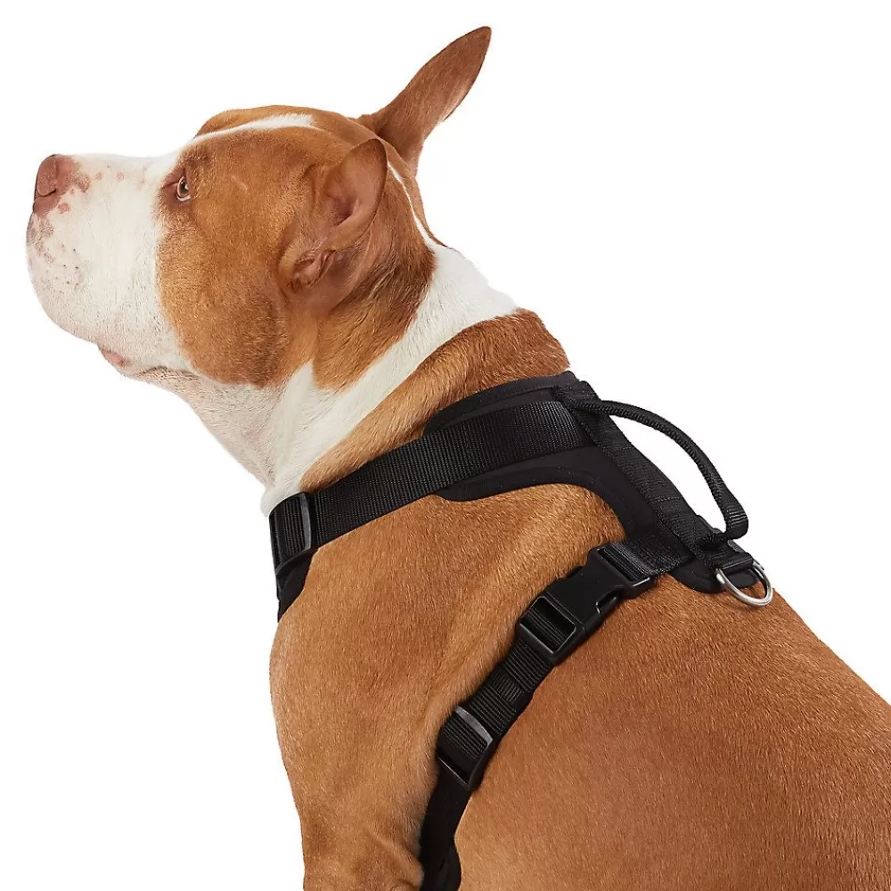 Collars, Harnesses & Leashes<Top Paw ® Neoprene Comfort Dog Harness Black