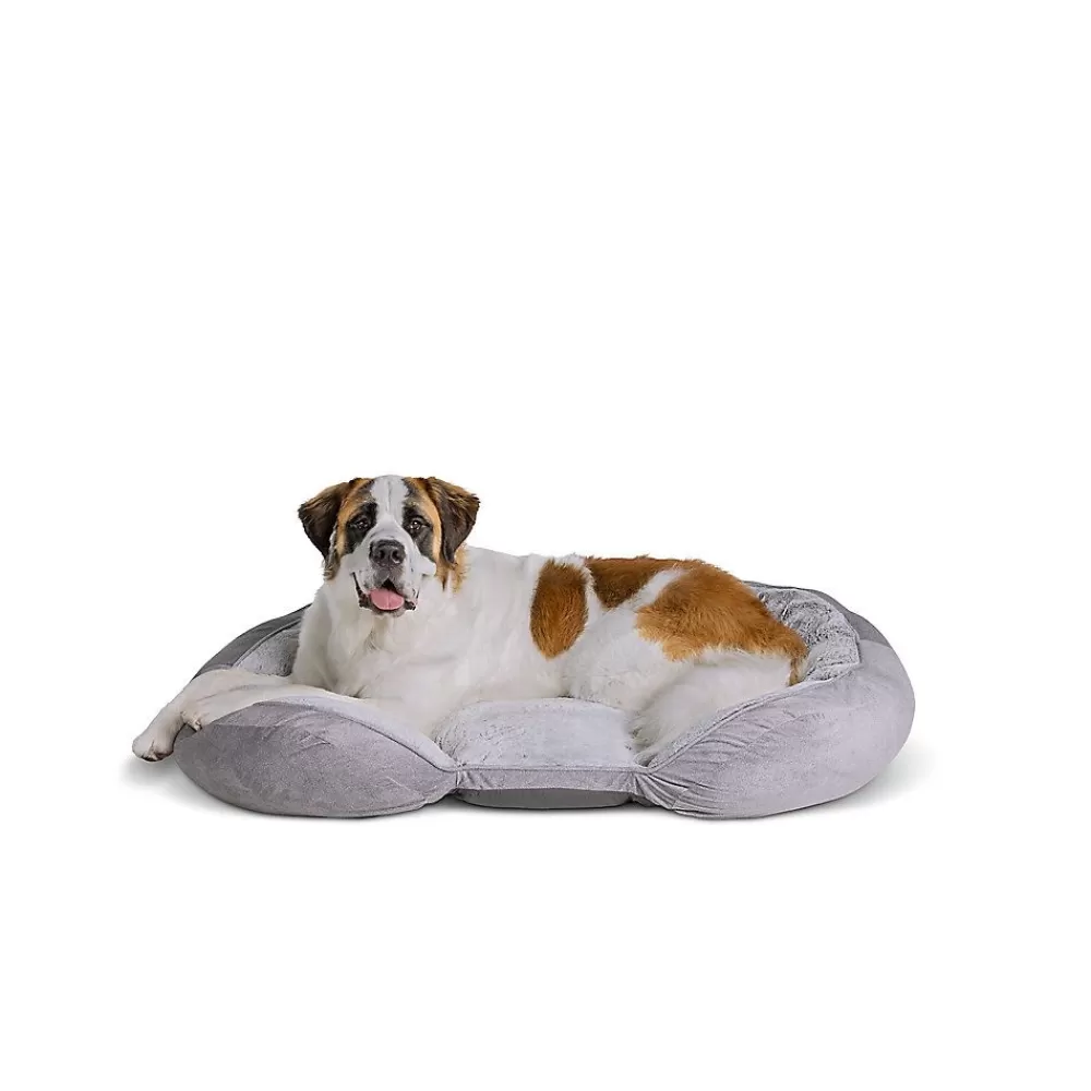 Beds & Furniture<Top Paw ® Orthopedic Lounger Dog Bed