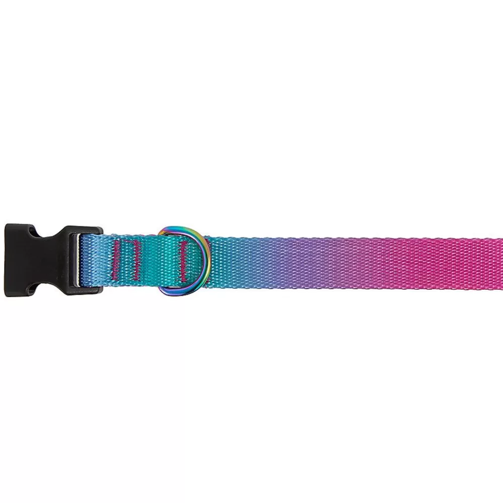 Collars, Harnesses & Leashes<Top Paw ® Pink & Teal Ombre Dog Collar