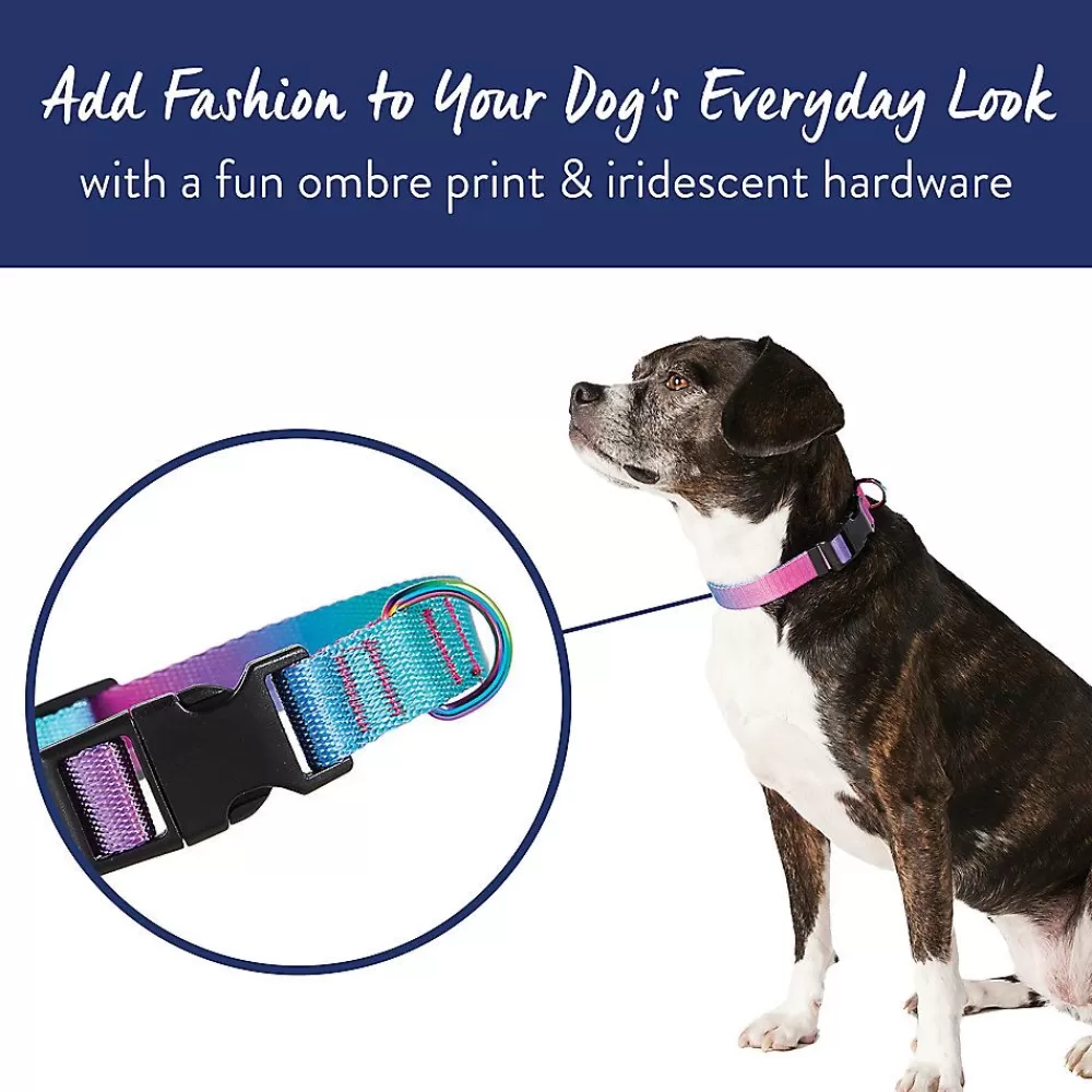 Collars, Harnesses & Leashes<Top Paw ® Pink & Teal Ombre Dog Collar