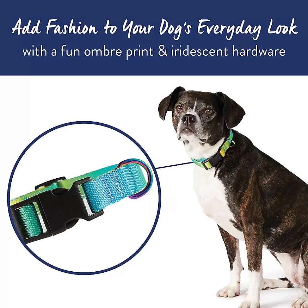 Collars, Harnesses & Leashes<Top Paw ® Yellow & Blue Ombre Polyester Dog Collar