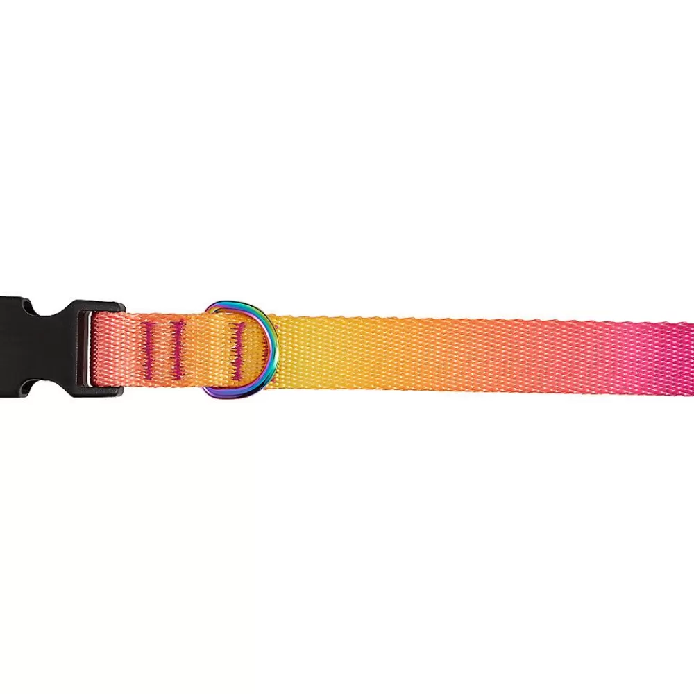 Collars, Harnesses & Leashes<Top Paw ® Yellow & Pink Ombre Polyester Dog Collar