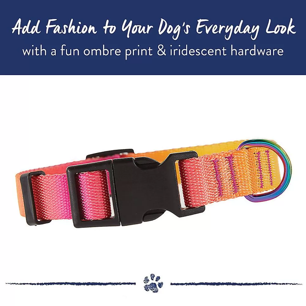 Collars, Harnesses & Leashes<Top Paw ® Yellow & Pink Ombre Polyester Dog Collar