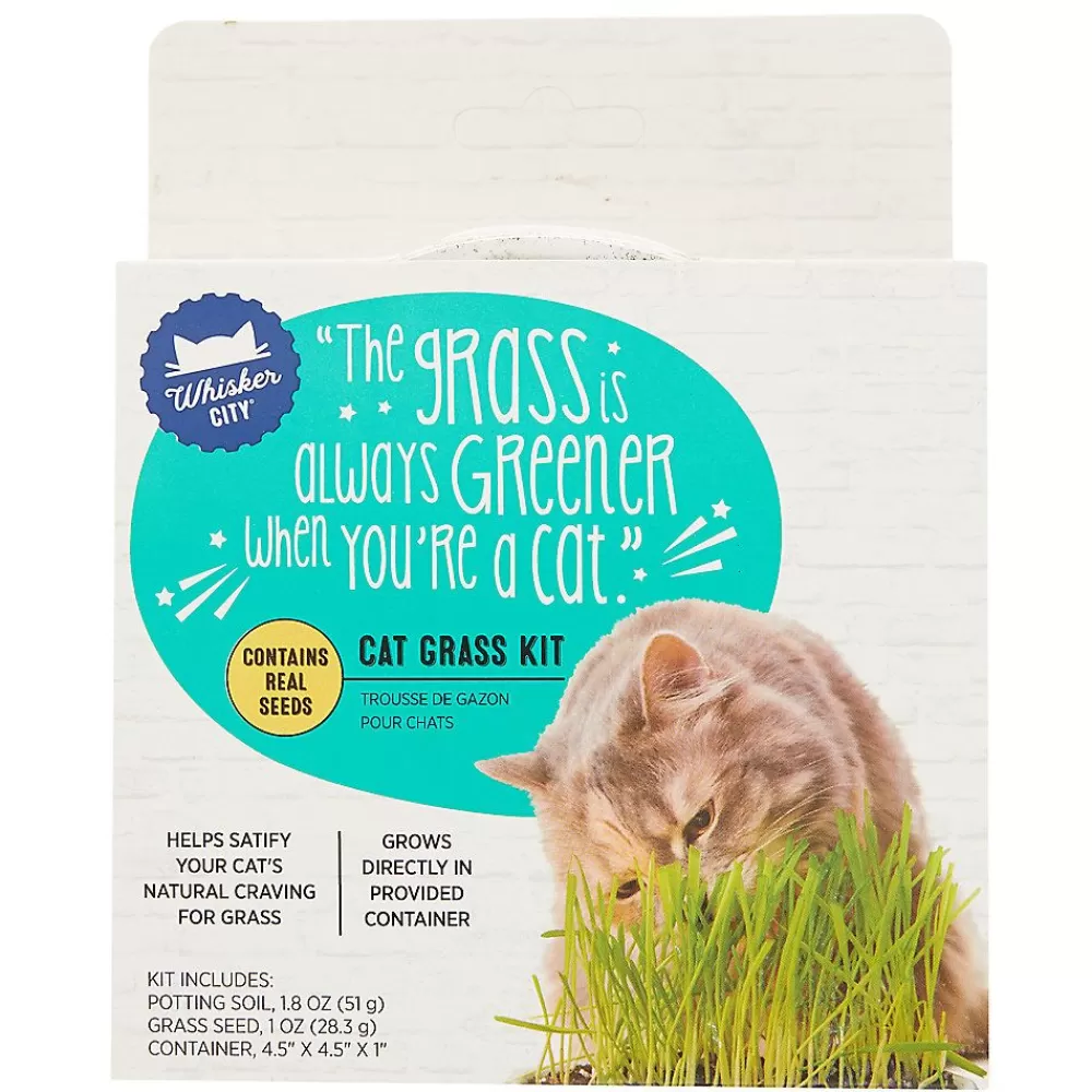 Catnip & Grass<Whisker City ® Cat Grass Kit