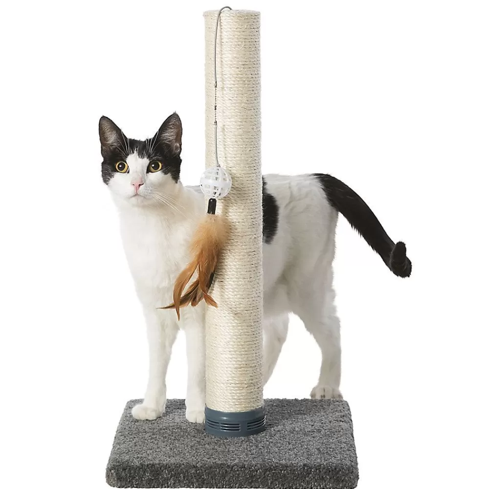 Beds & Furniture<Whisker City ® Catnip Cat Scratching Post