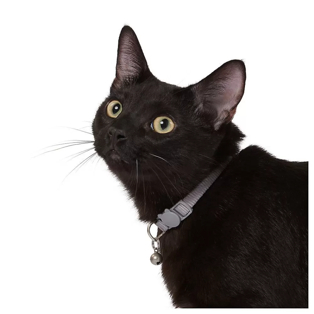 Collars, Harnessess & Leashes<Whisker City ® Gray Easy Release Kitten & Cat Collar