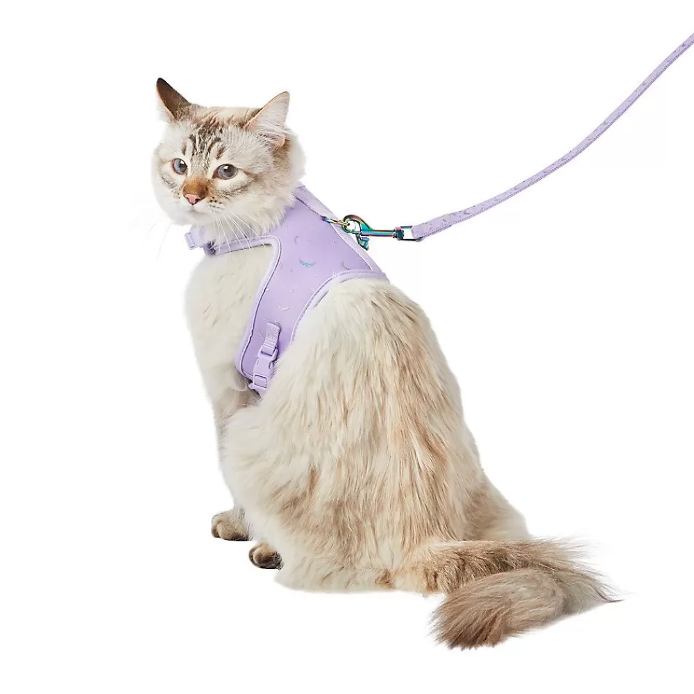 Collars, Harnessess & Leashes<Whisker City ® Purple Moons Cat Leash & Harness Combo