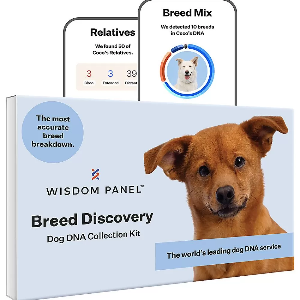 Dna Kits<Wisdom Panel Breed Discovery Breed Identification Dna Test For Dogs