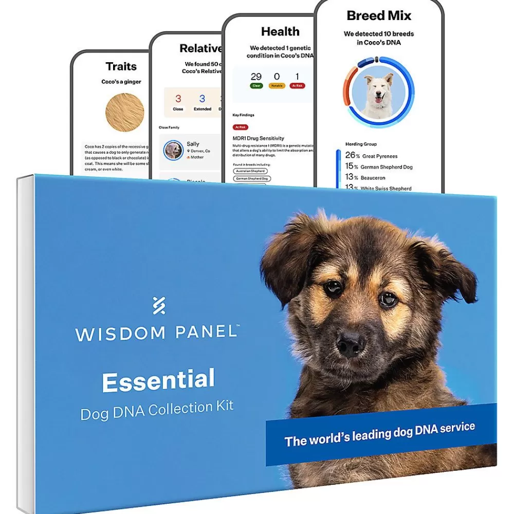 Dna Kits<Wisdom Panel Essential Breed Identification Dna Test For Dogs