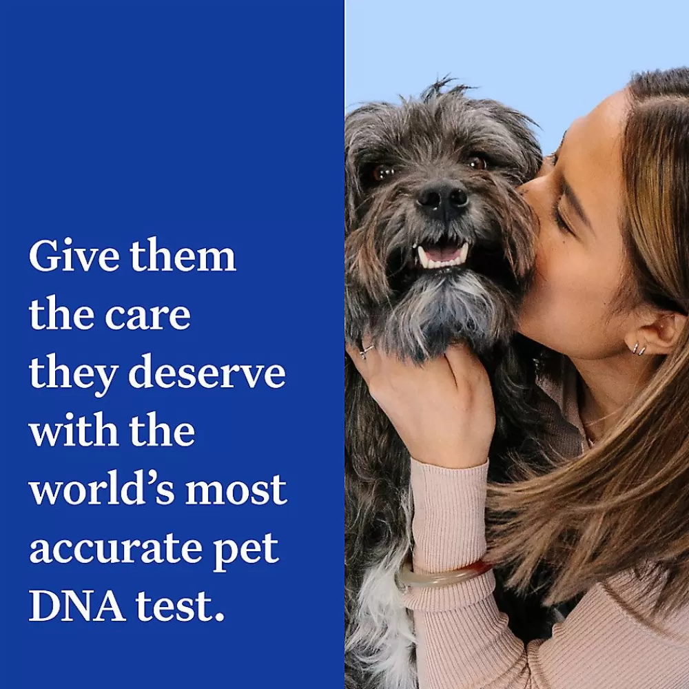 Dna Kits<Wisdom Panel Essential Breed Identification Dna Test For Dogs