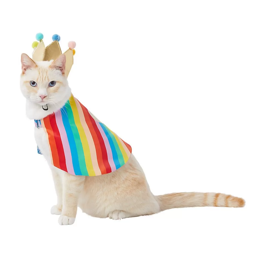 Clothing & Accessories<You Are Loved ® Pride Rainbow Striped Cat Cape